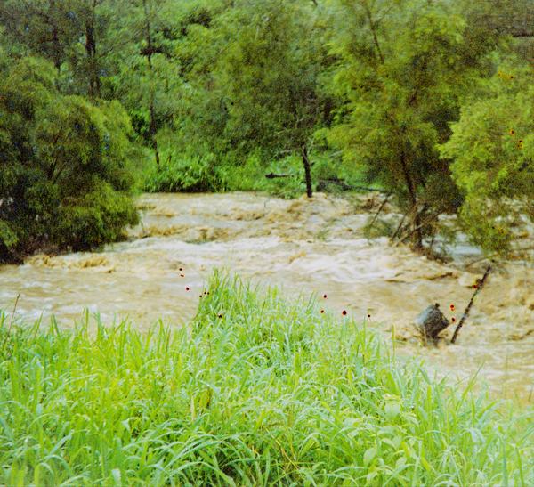 album Toowoomba, Queensland